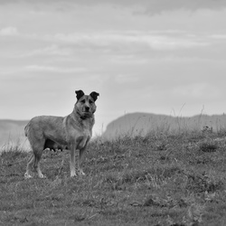 2019-08 Savoie/La Tuile/DSC_1888.JPG